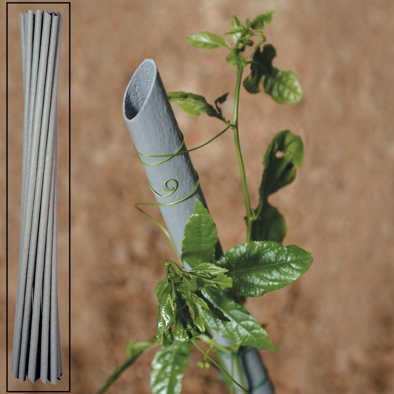 20pz tutore pvc per piante vigna d 27xh210 cm cod:ferx.13734