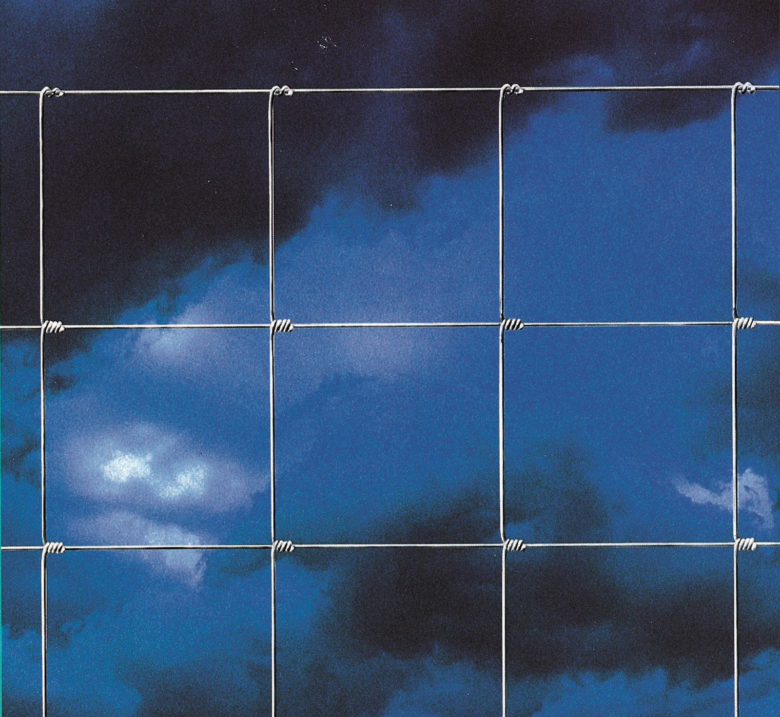 1 pz rete per pecore h.100x8x15cm (ml.50) cod:ferx.26213