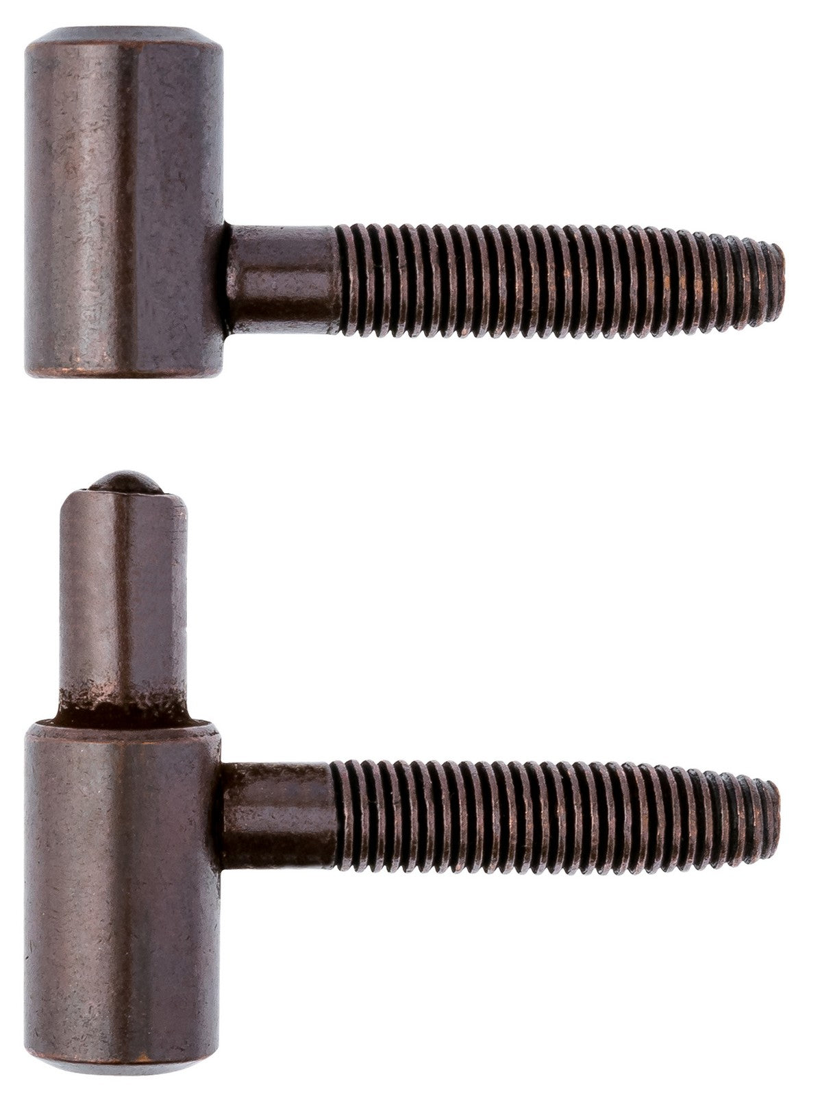 75pz anuba acciaio bronzato da 14 cod:ferx.3178