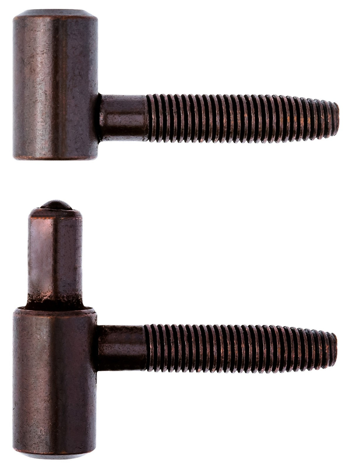 50pz anuba acciaio bronzato da 16 cod:ferx.3179