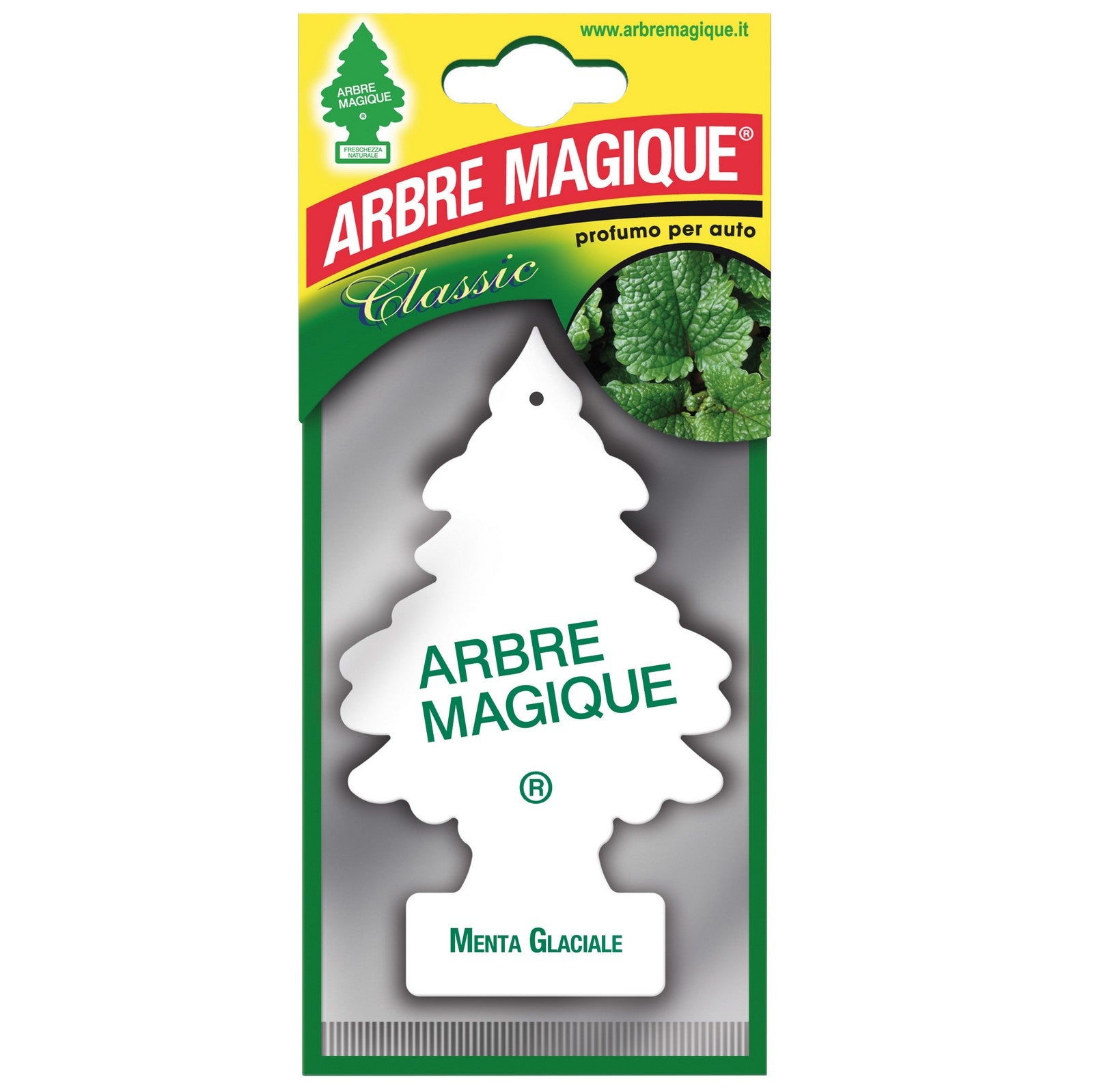 24pz arbre magique classic menta glaciale cod:ferx.77987