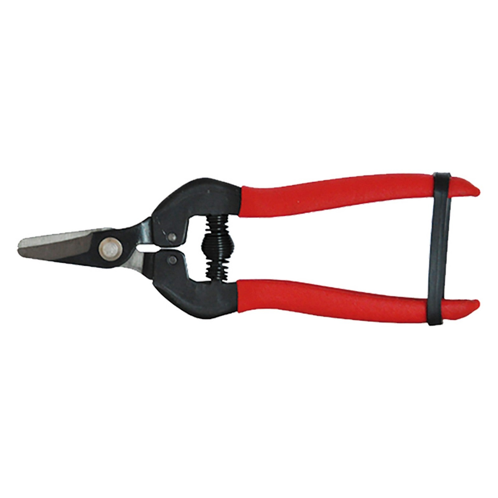 forbici cogliuva cm 16 cod:ferx.601924nlm