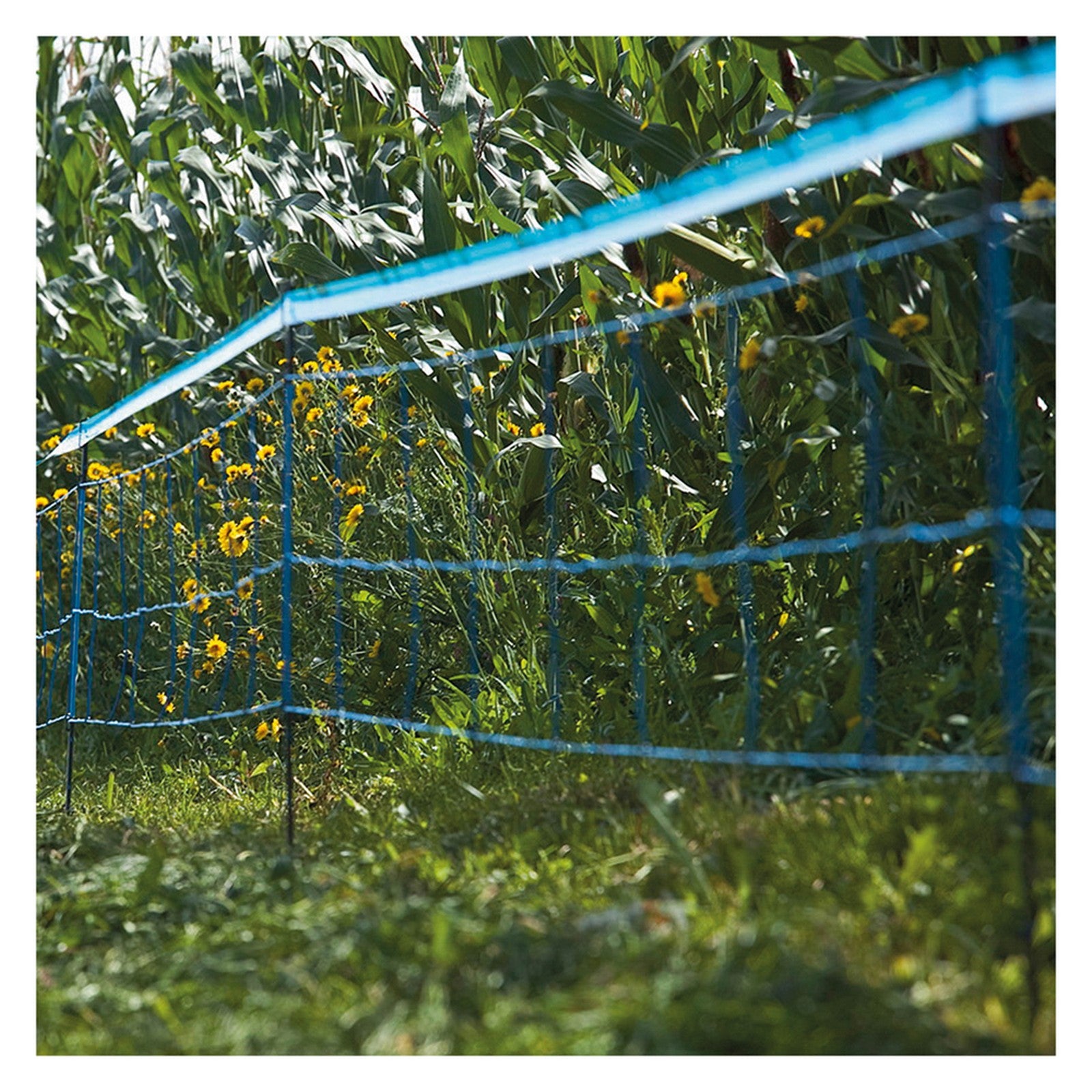 1 pz rete per cinghiali elettrificabile 'wildnet' lunghezza 50 mt cod:ferx.6049870nlm