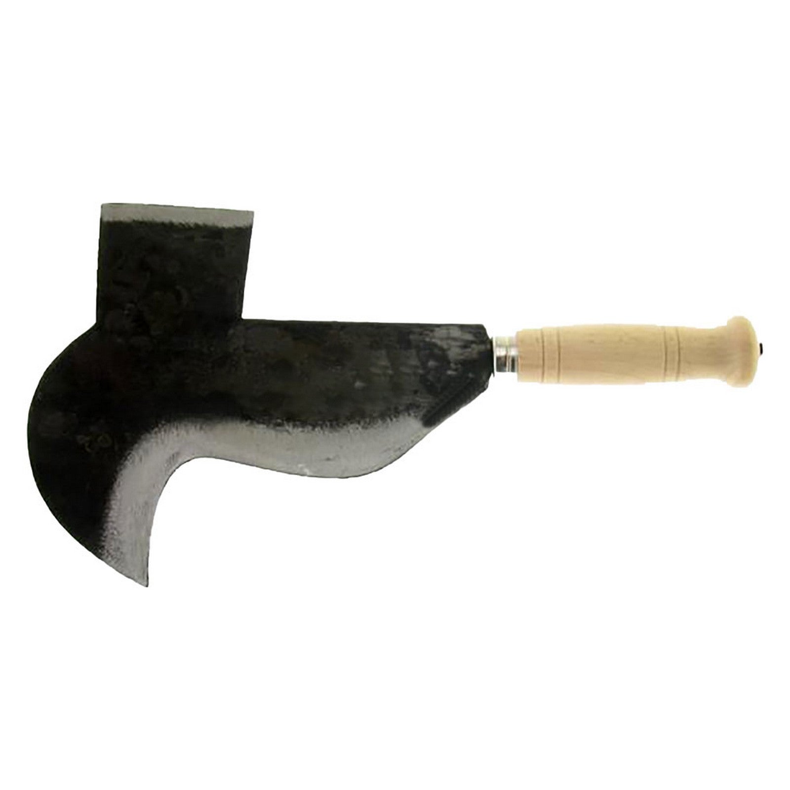 pennato 'frosinone' cm 22 cod:ferx.6015840nlm