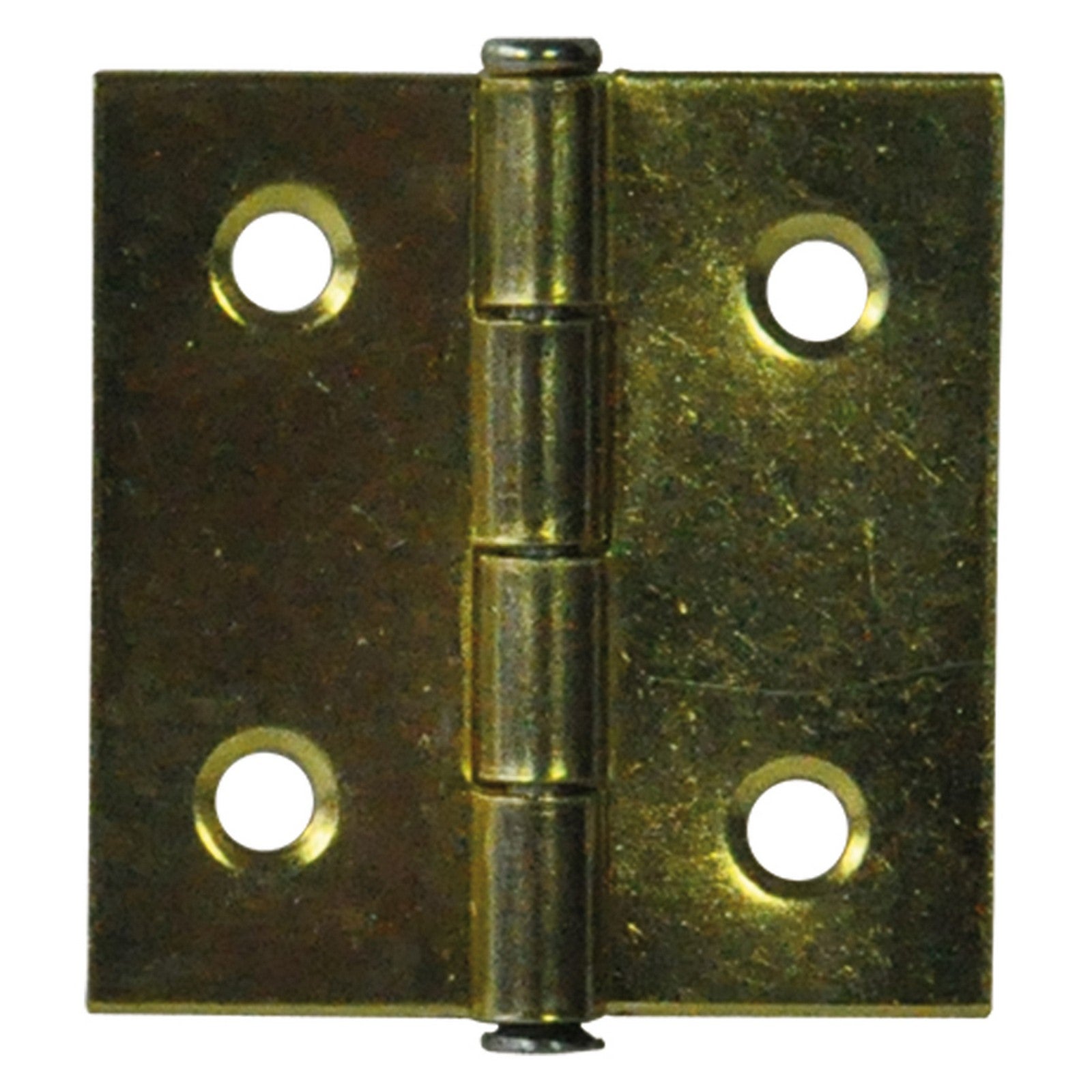 1blister cerniera ottonata mm. 60x50 - pz. 2 cod:ferx.38163nlm